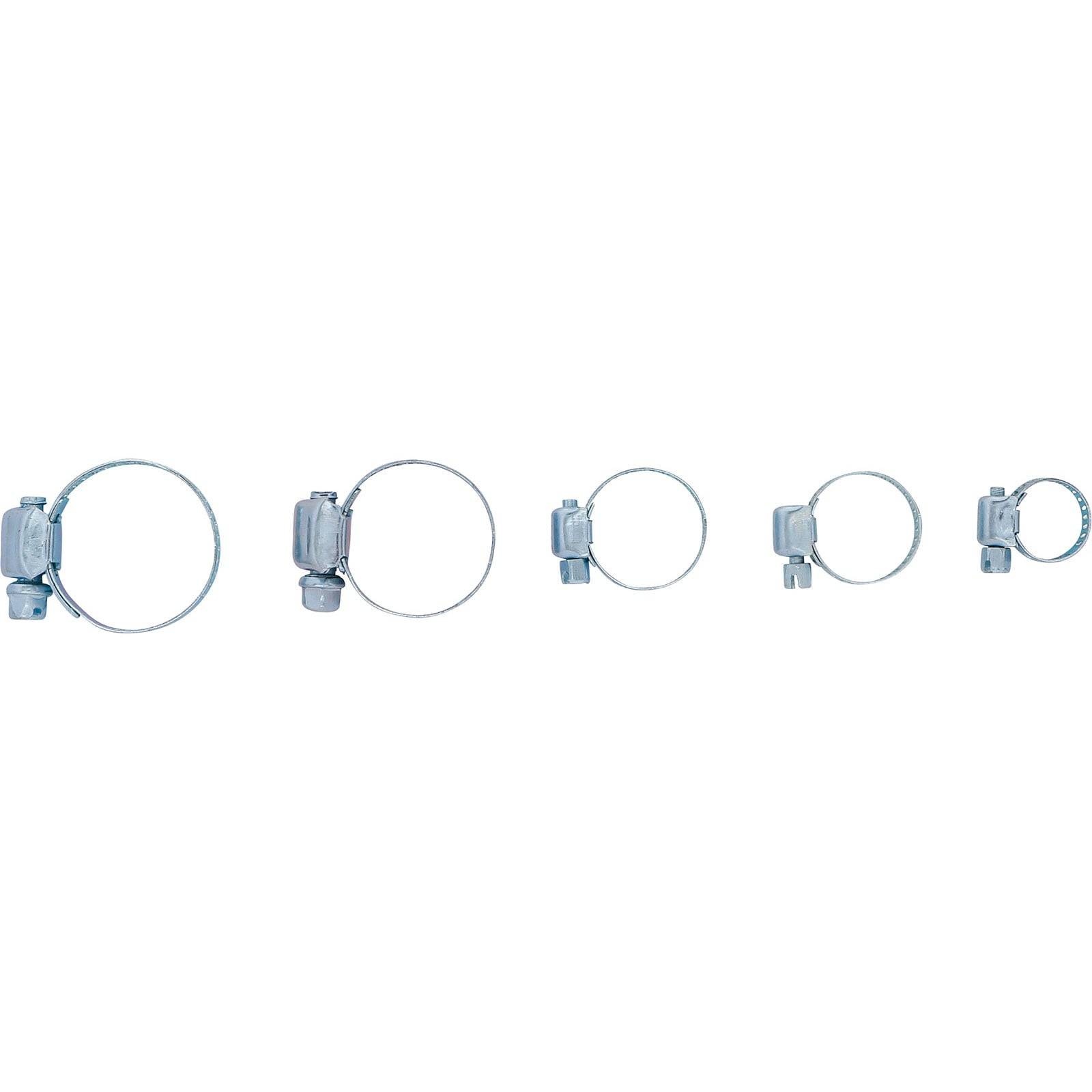 Eine Reihe von fünf Metallschlauchschellen in absteigender Größe, die dazu dienen, Schläuche auf Anschlüssen zu befestigen, horizontal vor einem weißen Hintergrund angeordnet.
