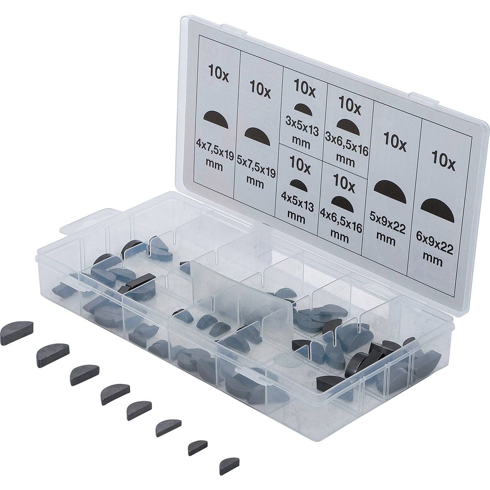Eine Sortimentsbox mit halbkreisförmigen Holzreff-Keilfedern in verschiedenen Größen, mit geöffnetem Deckel präsentiert. Jedes Fach enthält eine andere Größe.