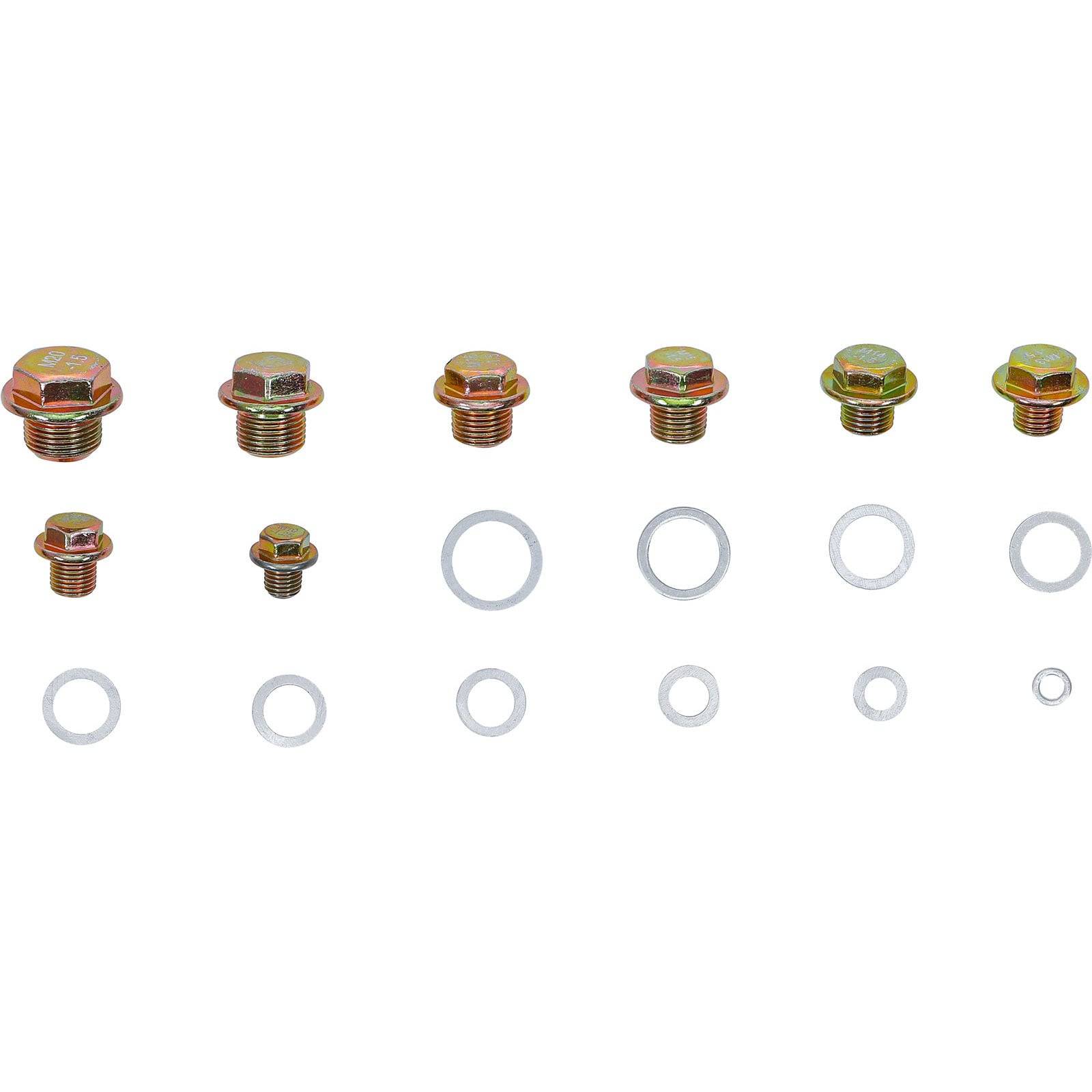 Eine Sammlung von verschiedenen Metallablassschrauben und Unterlegscheiben, die in zwei Reihen angeordnet sind und die Vielfalt in Abmessungen und Kompatibilität veranschaulichen.