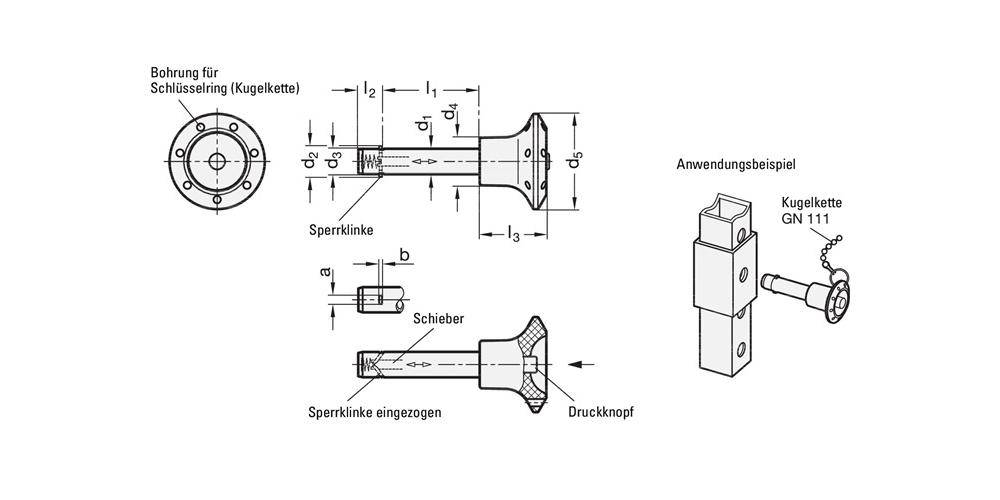 GANTER GRIFF Steckbolzen GN 114.2 a 3,8 mm b 1 mm l1 60 + 0,4 mm l2