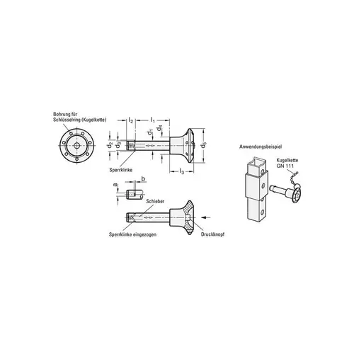 GANTER GRIFF Steckbolzen GN 114.2 a 3,8 mm b 1 mm l1 60 + 0,4 mm l2 GANTER GRIFF Steckbolzen GN 114.2 a 3,8 mm b 1 mm l1 60 + 0,4 mm l2