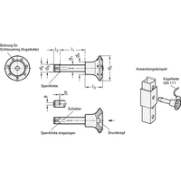 Steckbolzen GN 114.2 a 3,3mm b 1mm l1 60+0,4mm l2 9,8mm GANTER Steckbolzen GN 114.2 a 3,3mm b 1mm l1 60+0,4mm l2 9,8mm GANTER