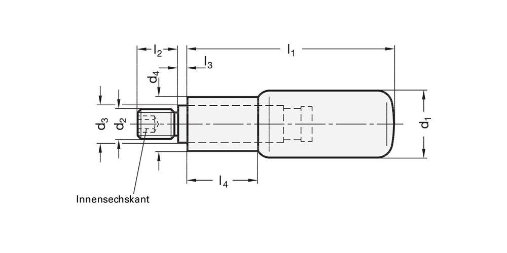 GANTER GRIFF Drehbarer Zylindergriff GN 798 d1 25 mm d2 M 10 mm d3 16