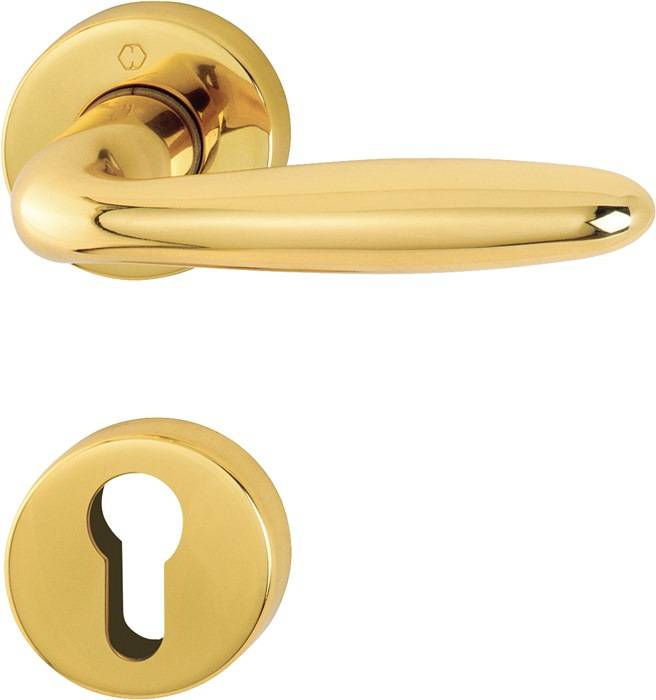 Foto eines glänzenden goldenen Türgriffs mit passendem Schlüssellochdeckel auf weißem Hintergrund.