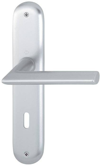 Silberner Türgriff mit einem einfachen, modernen Design, der an einer Metallplatte befestigt ist.