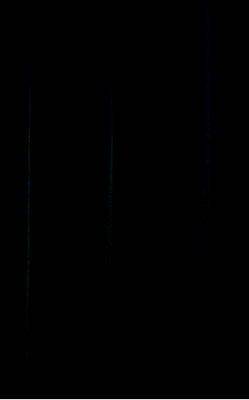 TransFlex Schutz.,1teiligd-grün Vorhang 0,4mm BS