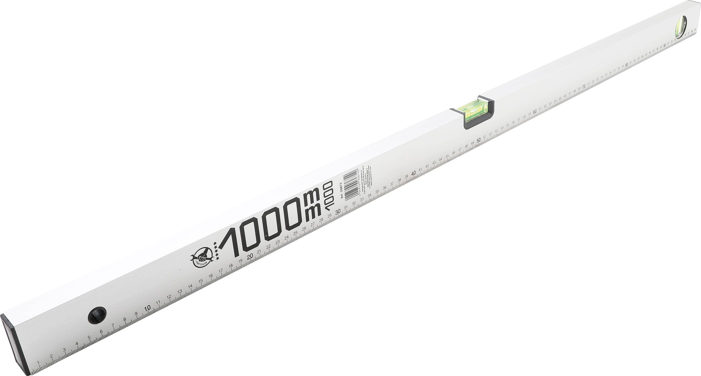 BGS Diy Wasserwaage | 1000 mm