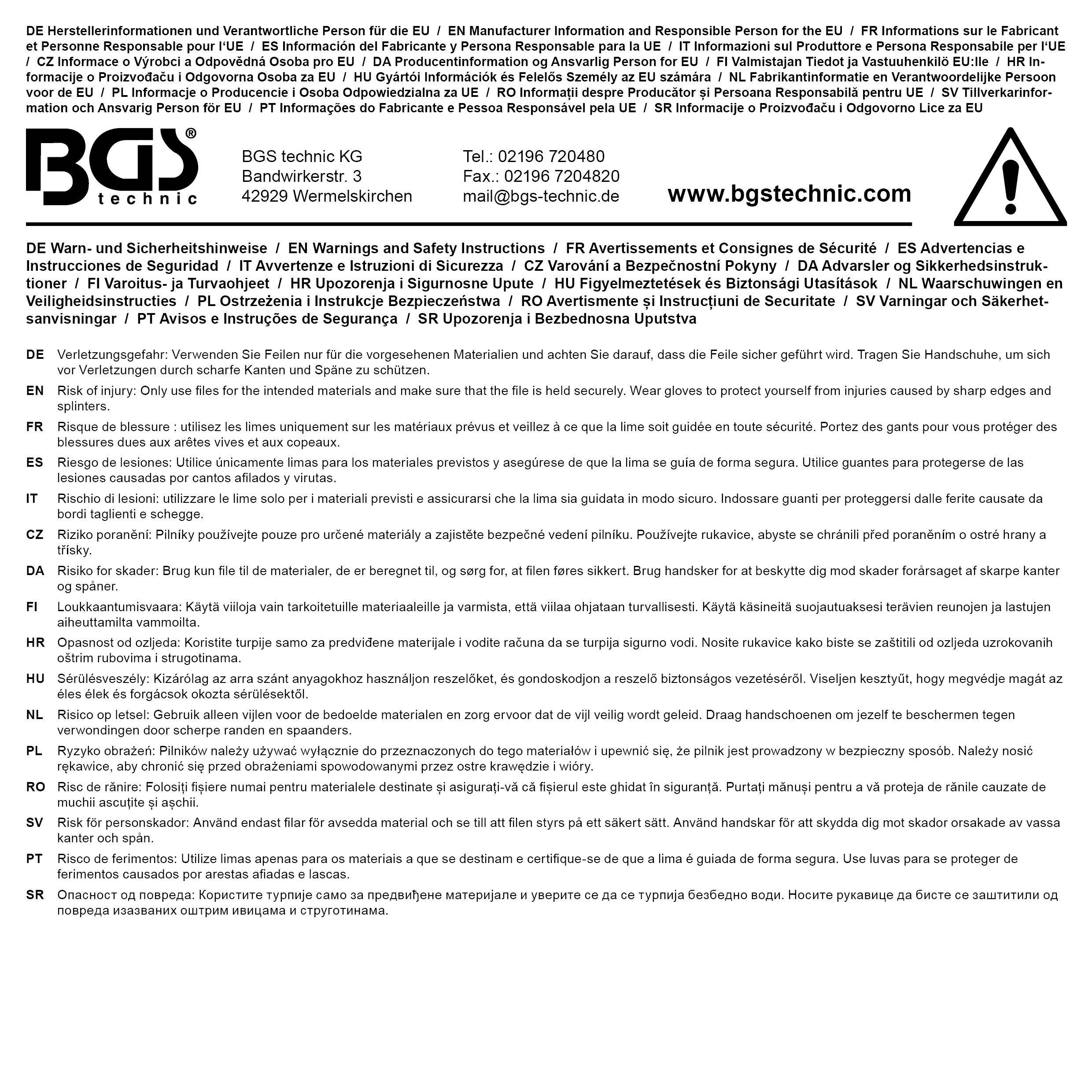 BGS Werkstattwageneinlage 1/3: Werkstattfeilen-Satz | 5-tlg.