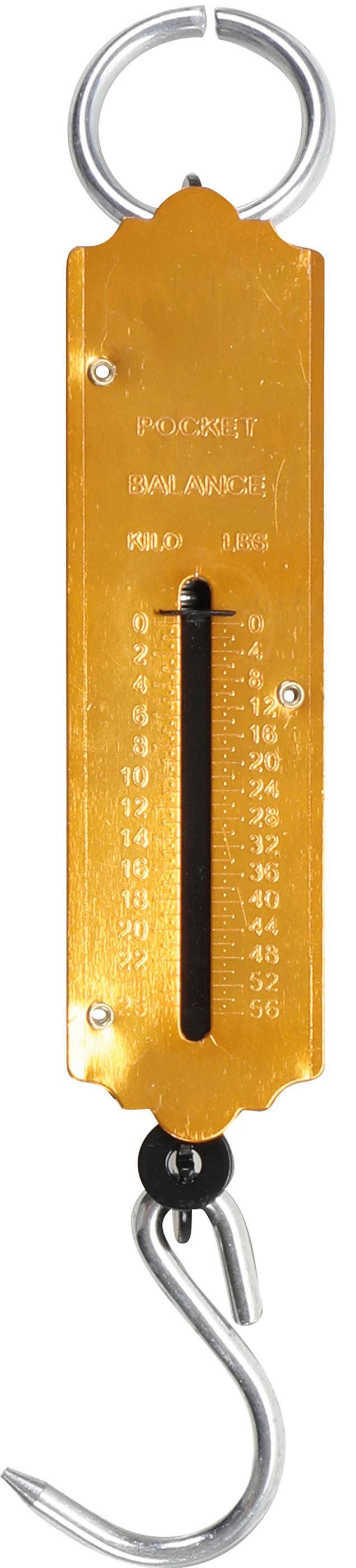 BGS Diy Taschenfederwaage | bis 25 kg