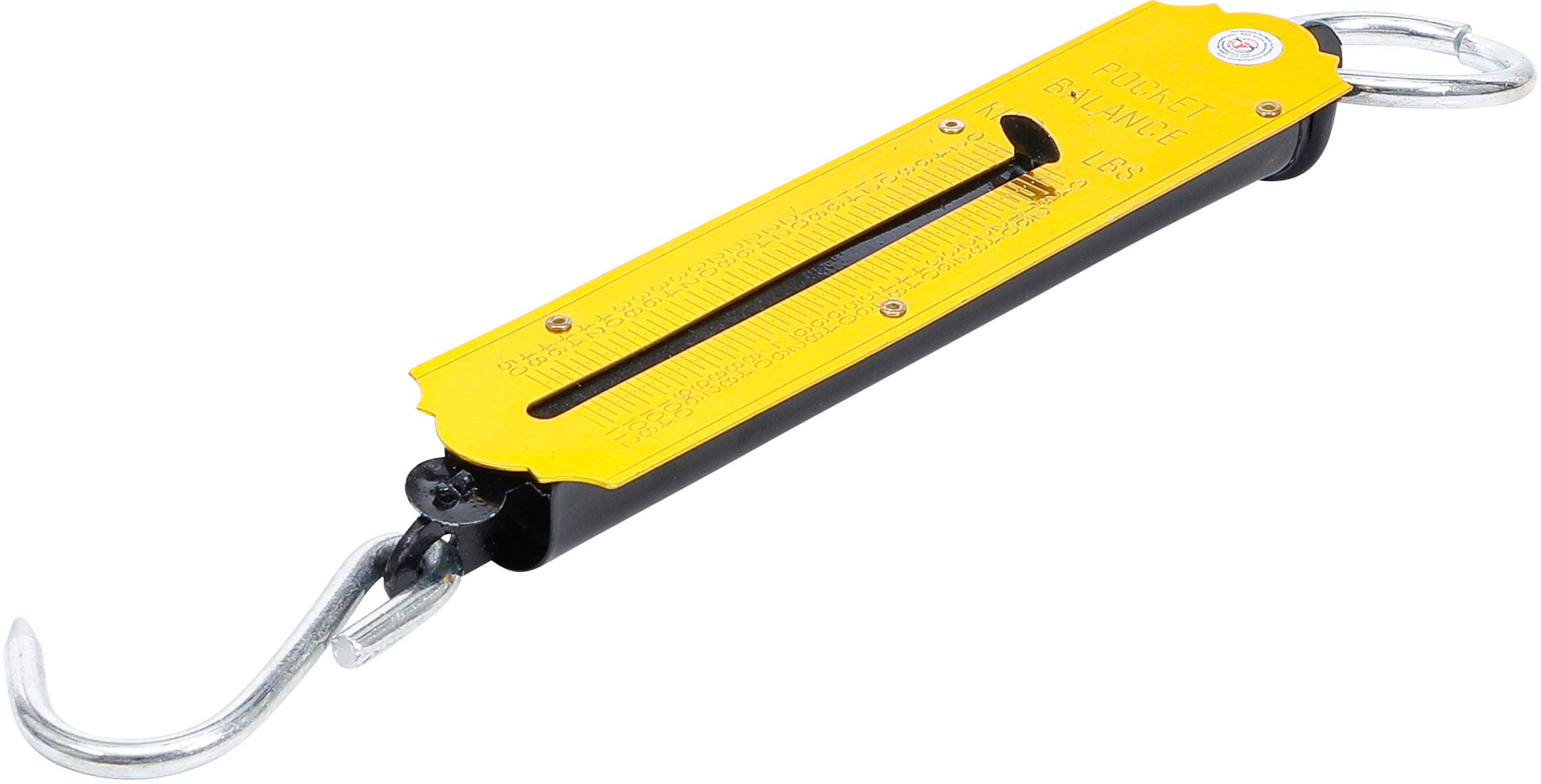 BGS Diy Taschenfederwaage | bis 50 kg