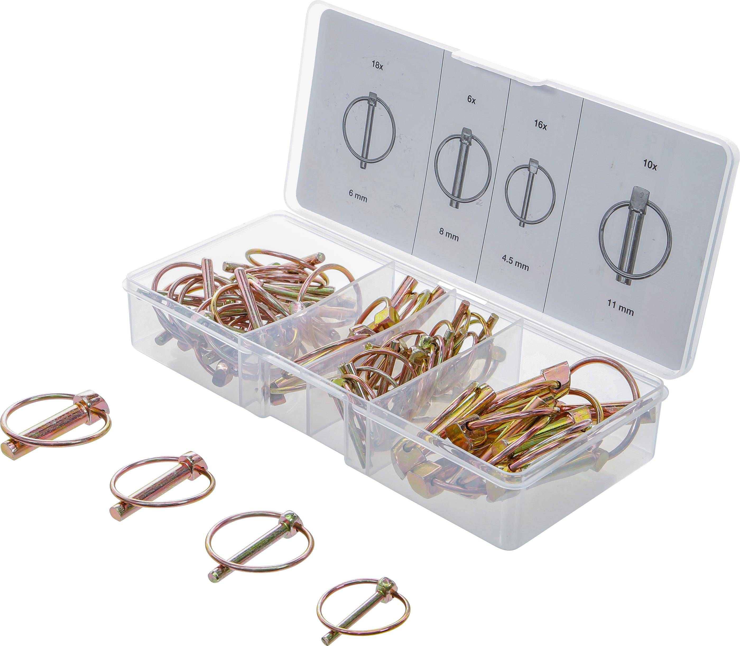 BGS technic Klappsplinte-Sortiment | 50-tlg.