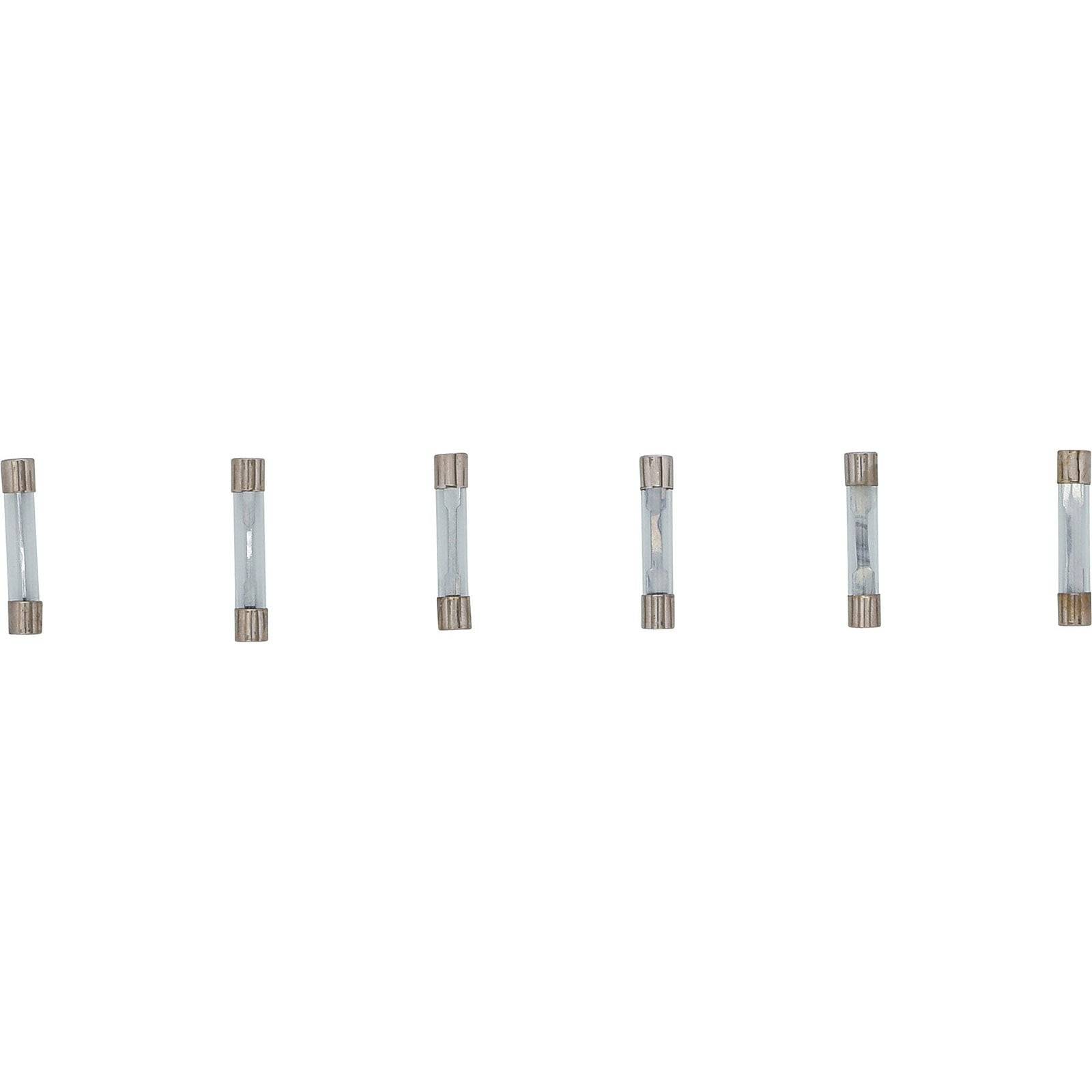Sechs identische Glasssicherungen mit Metallkappen sind horizontal auf einem weißen Hintergrund ausgerichtet.