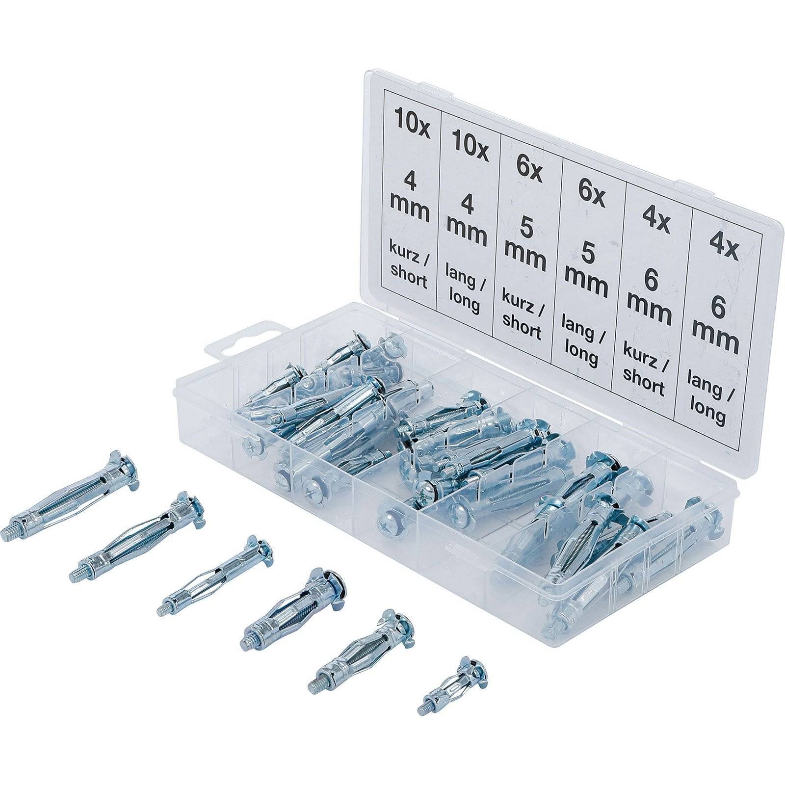Eine transparente Plastikbox mit Dübeln verschiedener Größen. Etiketten zeigen Mengen und Dimensionen: 10x 4mm, 8x 4mm, 6x 5mm, 6x 6mm, 4x 6mm.