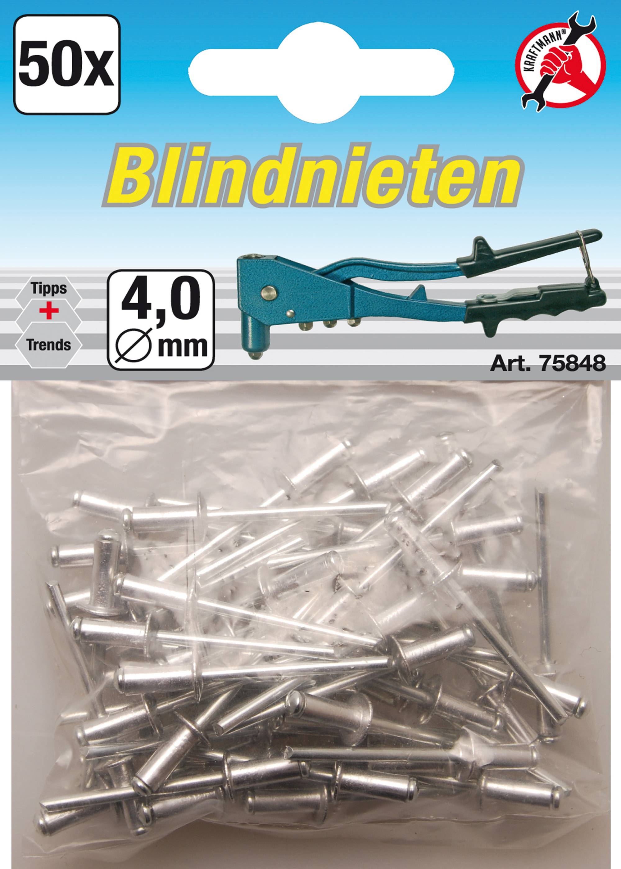 BGS technic Blindnieten-Sortiment | Ø 4,0 mm | 50-tlg.