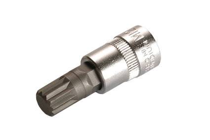 Bit-Einsatz Antrieb Innenvierkant 10 mm (3/8) Innenvielzahn (für XZN) M12