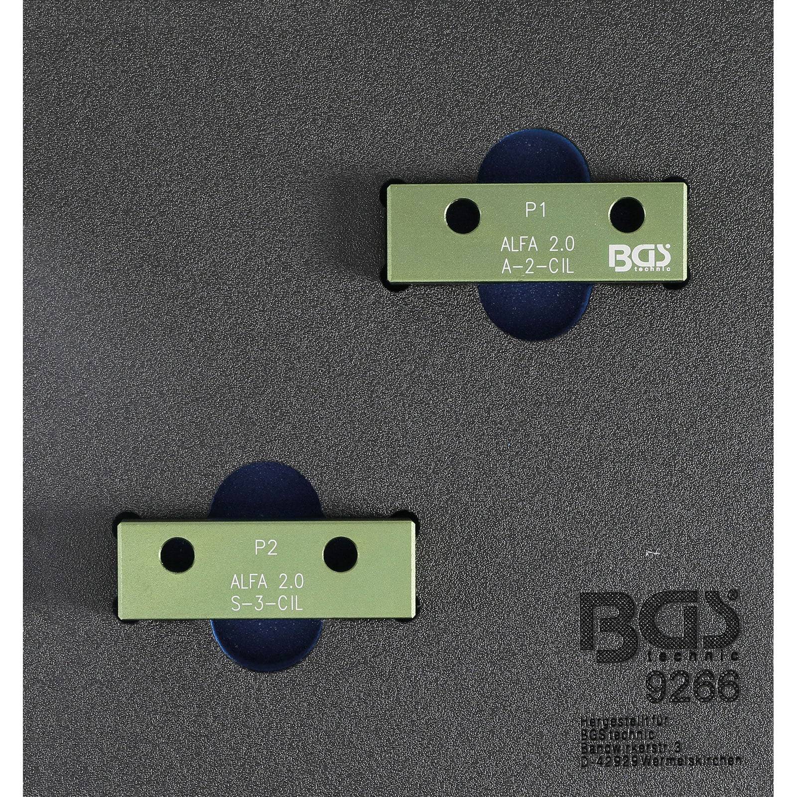 Zwei rechteckige Automotive-Komponenten, mit P1 und P2 gekennzeichnet, entwickelt für ALFA 2.0, auf einem grauen strukturierten Hintergrund. BGS-Logo in der Ecke.