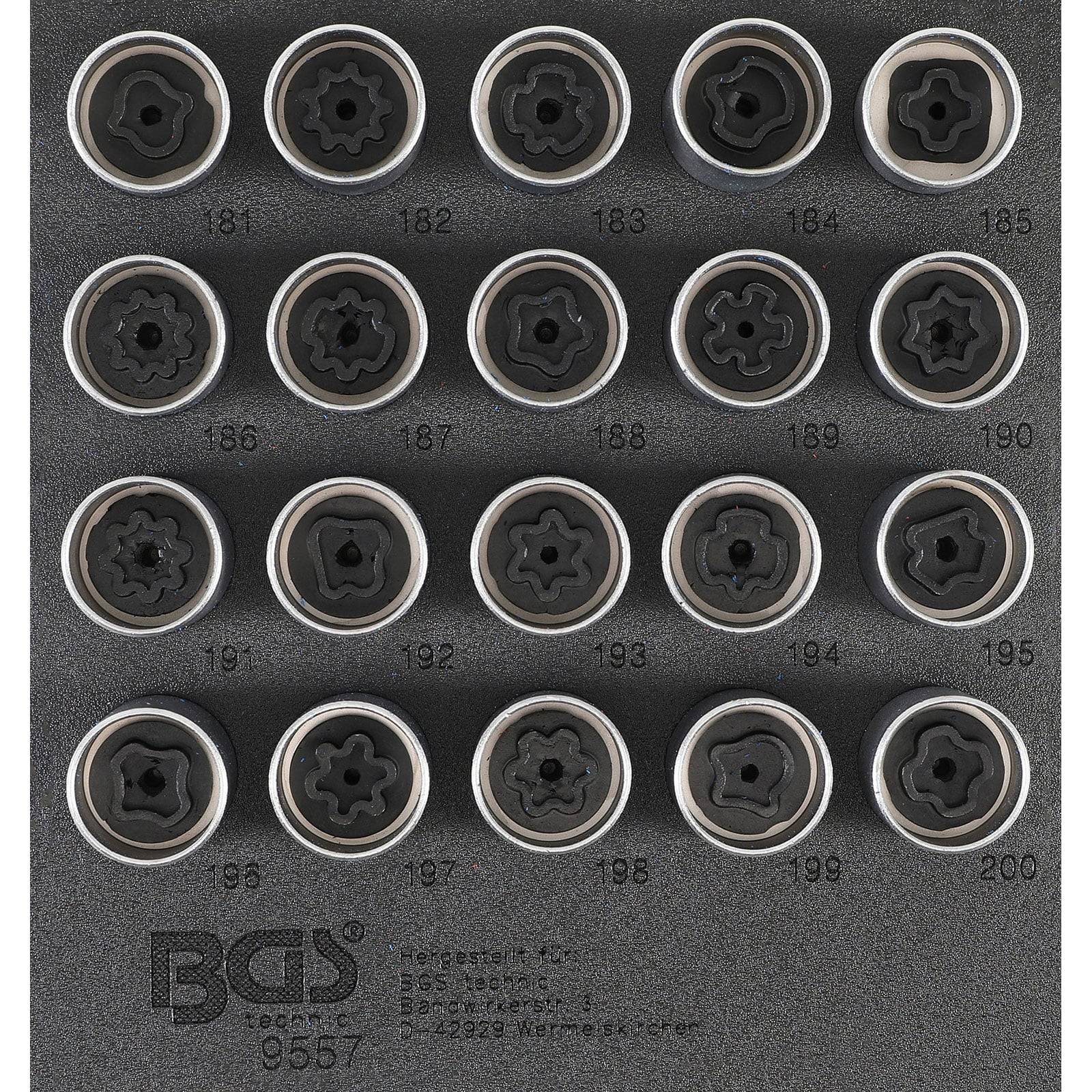 Ein Satz von 20 BGS-Steckschlüsseln, angeordnet in fünf Reihen, jede deutlich mit Größen von 181 bis 200 gekennzeichnet.