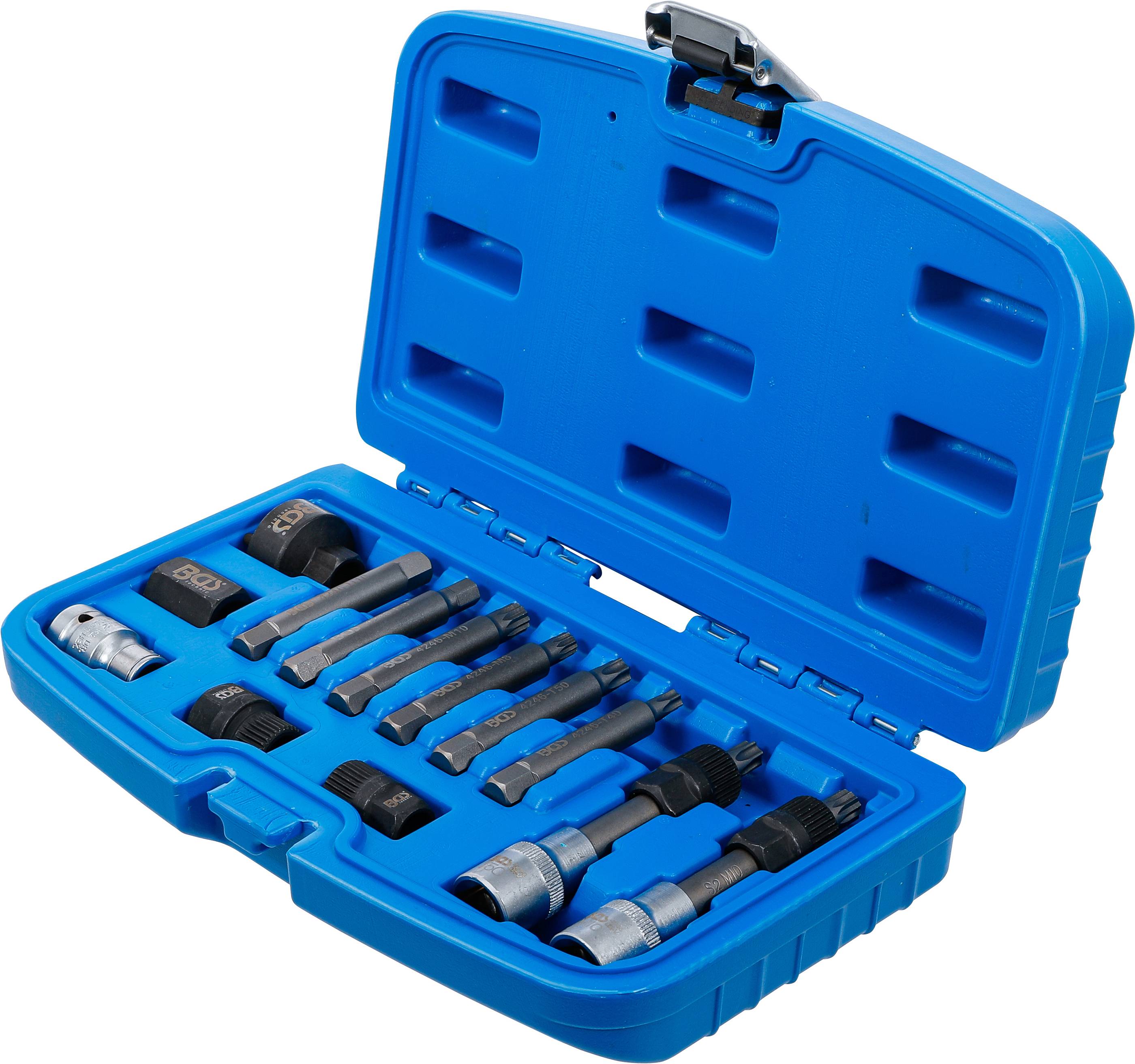 Lichtmaschinen Bit-Einsatz Satz 12,5 mm (1/2") 13-tlg.