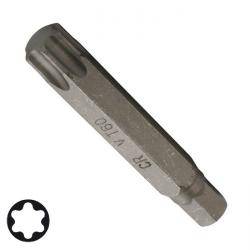 Torx-Schraubendreher-Bit mit der Bezeichnung 