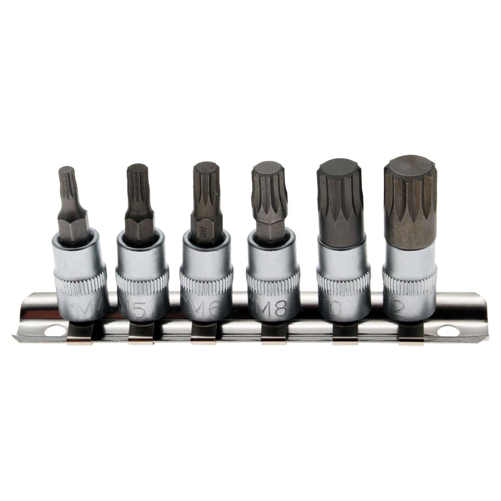 Sechs Metall-Torx-Einsätze in verschiedenen Größen, auf einer Metallschiene montiert.