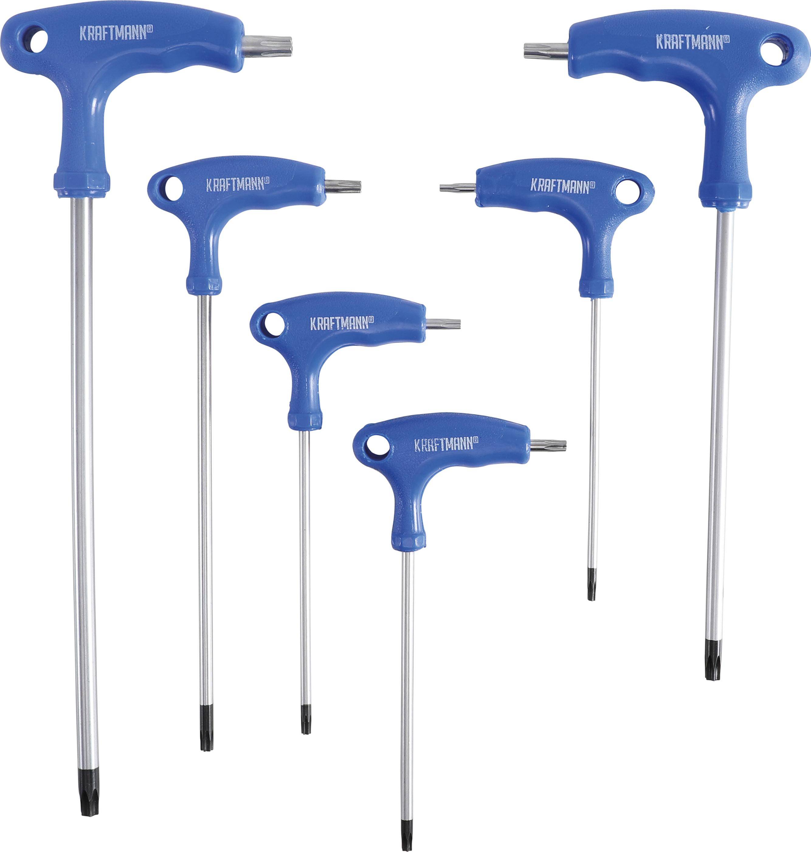 BGS Do It Yourself Schraubendreher-Satz mit T-Griff und seitlicher