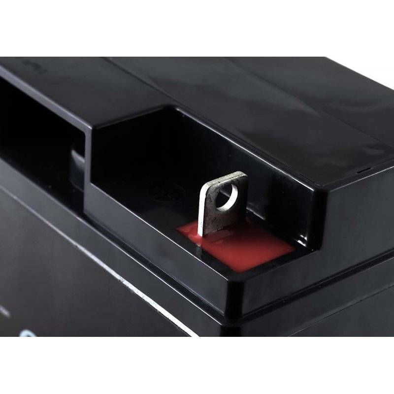 FIAMM Ersatzakku für USV APC Smart-UPS 2200, 12V, Lead-Acid