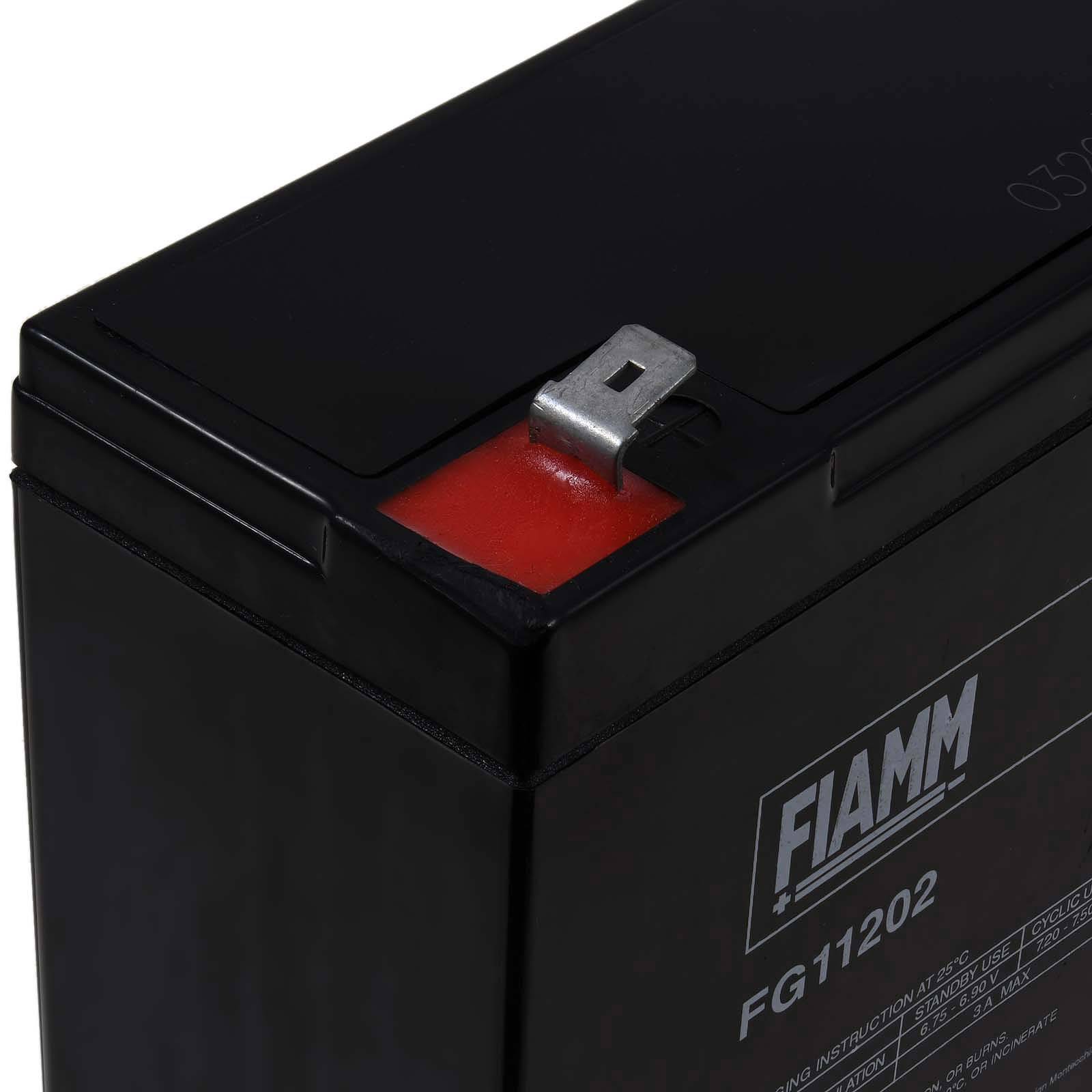 FIAMM Ersatzakku für USV Notstrom Notbeleuchtung 6V 12Ah (ersetzt auch 10Ah), 6V, Lead-Acid