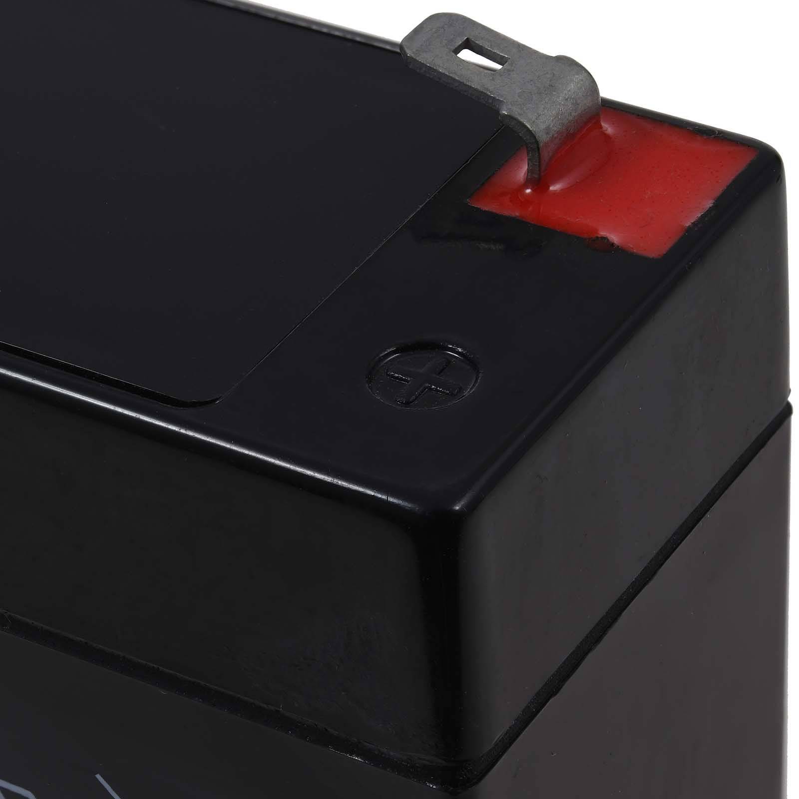 FIAMM Bleiakku FG10301 Vds, 6V, Lead-Acid