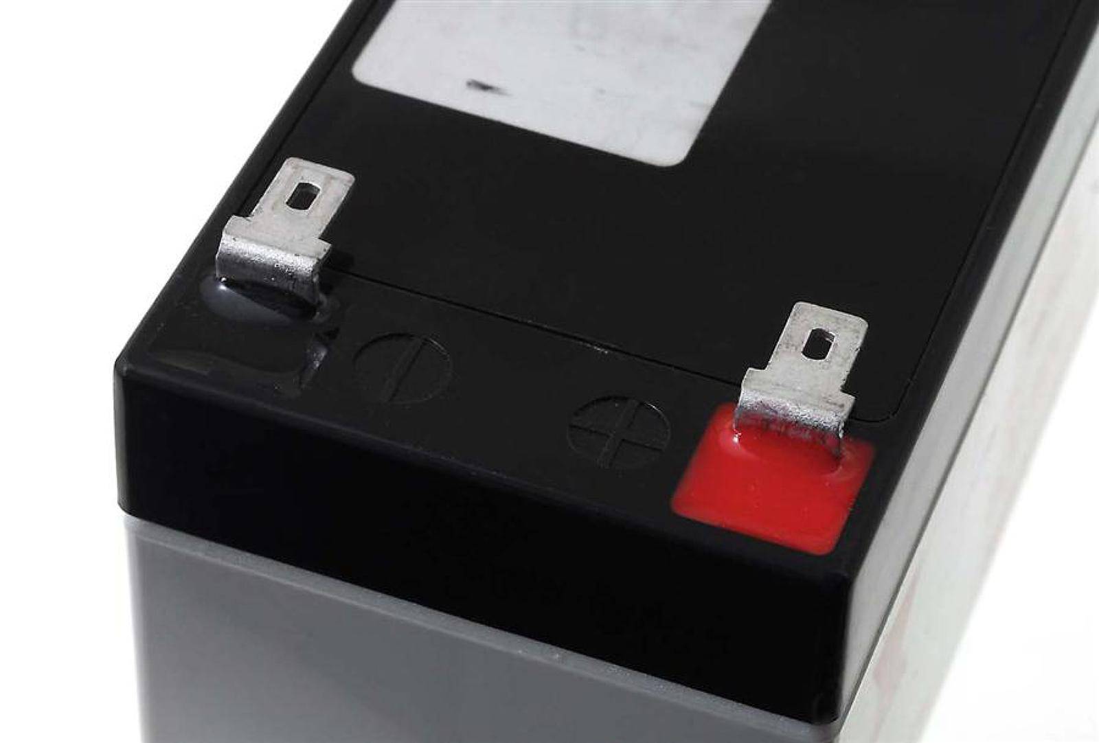YUASA Bleiakku NP1.2-12 Vds, 12V, Lead-Acid