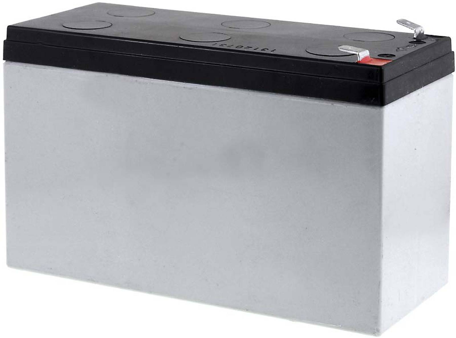YUASA Bleiakku NPW45-12, 12V, Lead-Acid