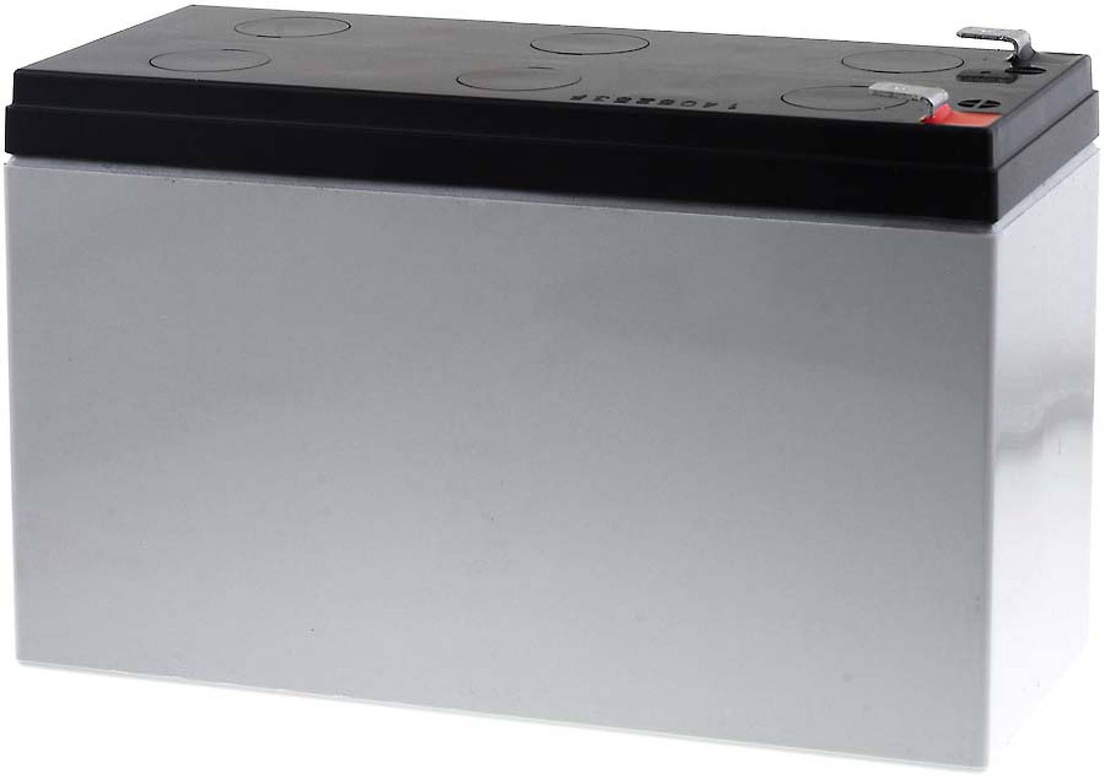 Yuasa Bleiakku REW45-12, 12V, Lead-Acid