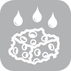 Olefin Schmutzfangmatte grün 60X91 cm