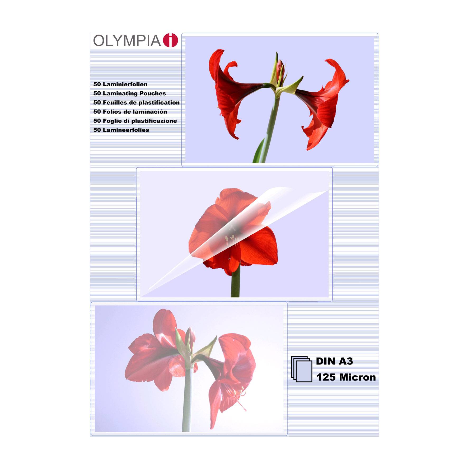 OLYMPIA - A3 (297 x 420 mm) 100 Stck. laminiertes