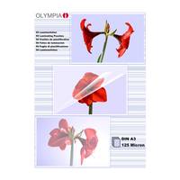 OLYMPIA - A3 (297 x 420 mm) 100 Stck. laminiertes
