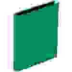 PAGNA Ringbuch "Basic Colours", 2 Bügel-Mechanik, grün
