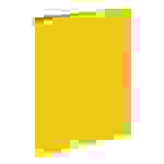 Pagna 20901-04, A4, Rundring, Lagerung, Polypropylen (PP), Gelb, 1,6 cm