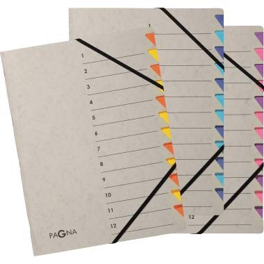 Pagna Ordnungsmappe Easy Grey 44312-10 12 Fächer lila