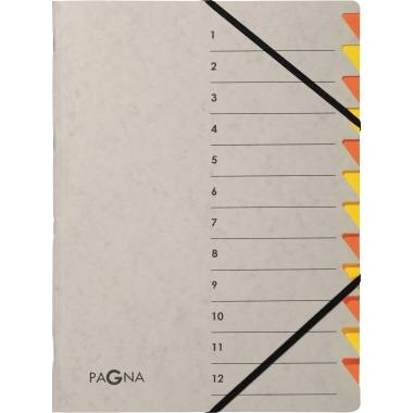 Pagna Ordnungsmappe Easy Grey 44312-12 12 Fächer orange