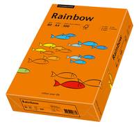Orange 'Rainbow' Produktbox mit farbenfrohen Fischillustrationen auf dem Deckel, in schrägem Draufsicht-Blick gezeigt.