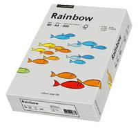 Schachtel mit regenbogenfarbigen, fischthematischen Papiertüchern oder Umschlägen, gezeigt in Produktverpackung mit mehreren illustrierten Fischen auf der Vorderseite.