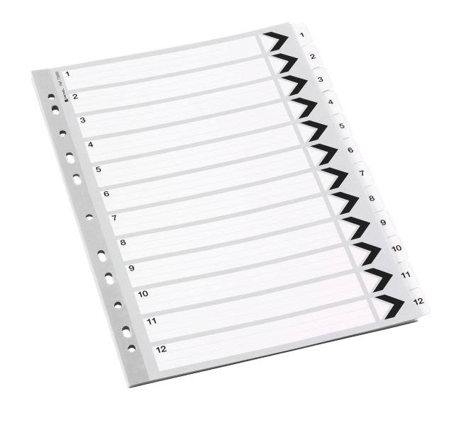 Kartonregister 1-12 - Rexel®