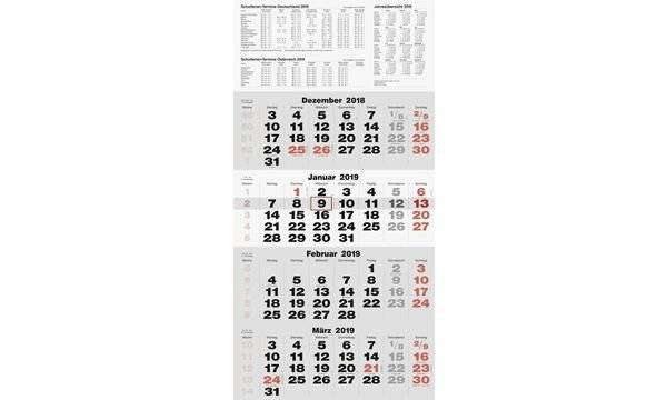 rido idé Wandkalender 4-Monatskalender quattroplan 2, 2019 (6250345)