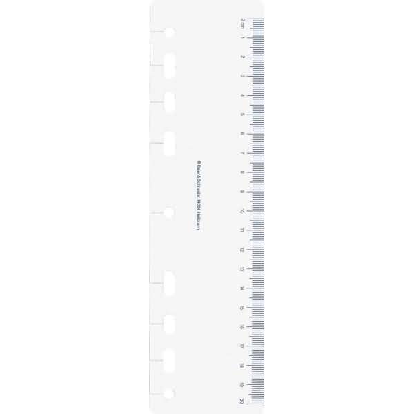 Tagesanzeiger Timing 1 transparent