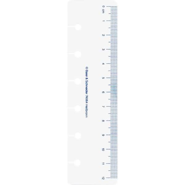 Tagesanzeiger Timing 3 transparent