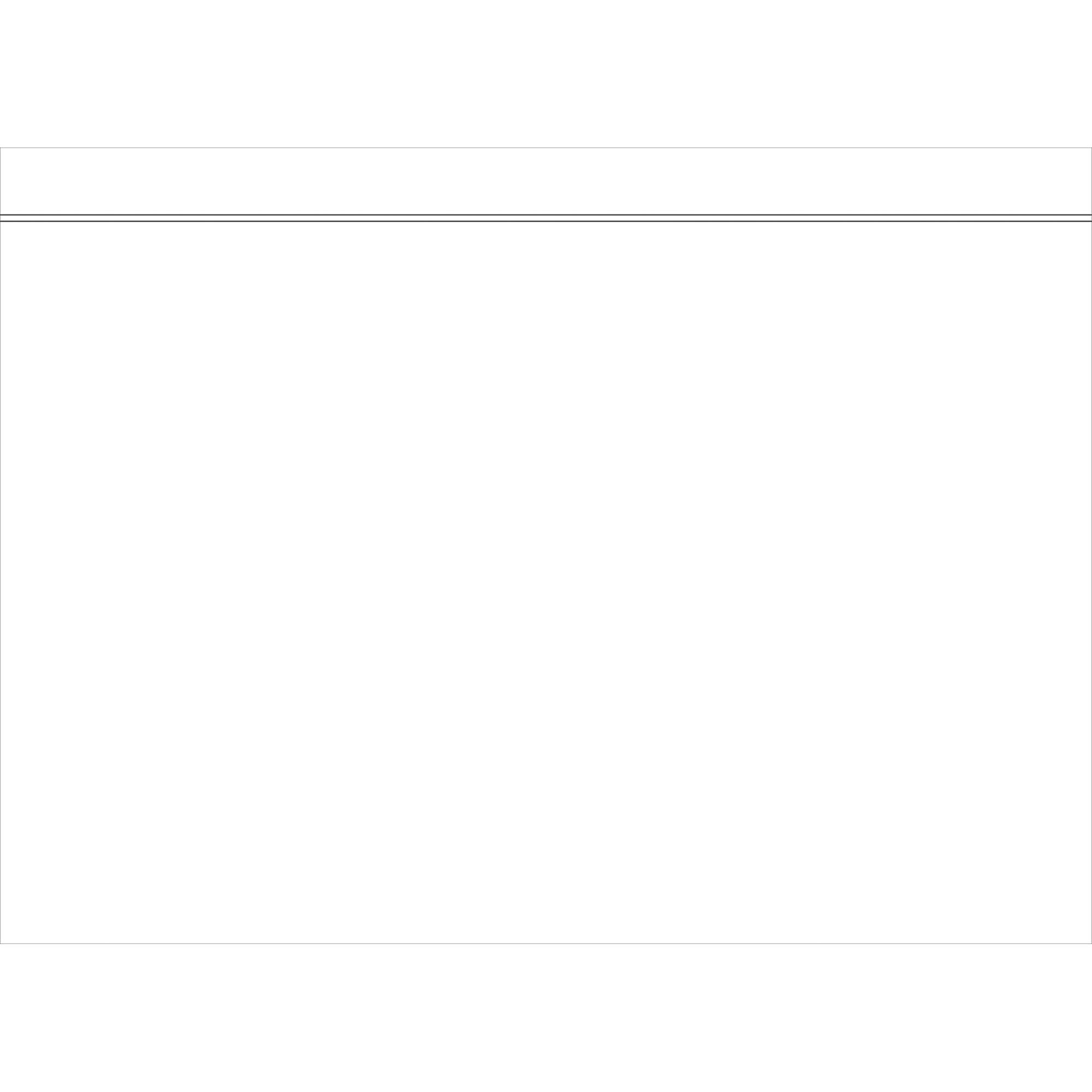 RNK Begleitpapiertasche 2212 C4 o.A.