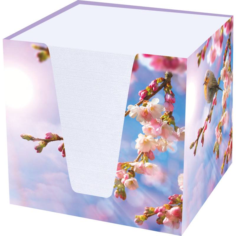 RNK Verlag Zettelbox "Rotkehlchen", Hartkarton, befüllt