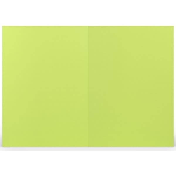 Doppelkarten A6 220g/qm maigrün VE=5 Stück