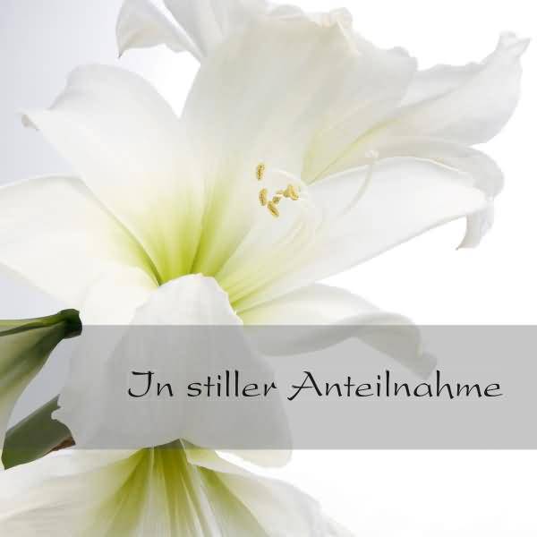 Sigel Funeral Cards DS006 - Glänzend - White Amaryllis