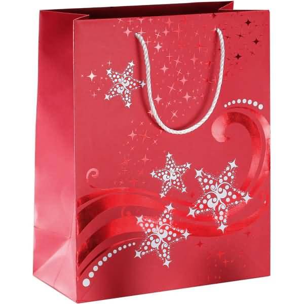 Geschenktasche Premium Wave Large 26x33x12,5 cm