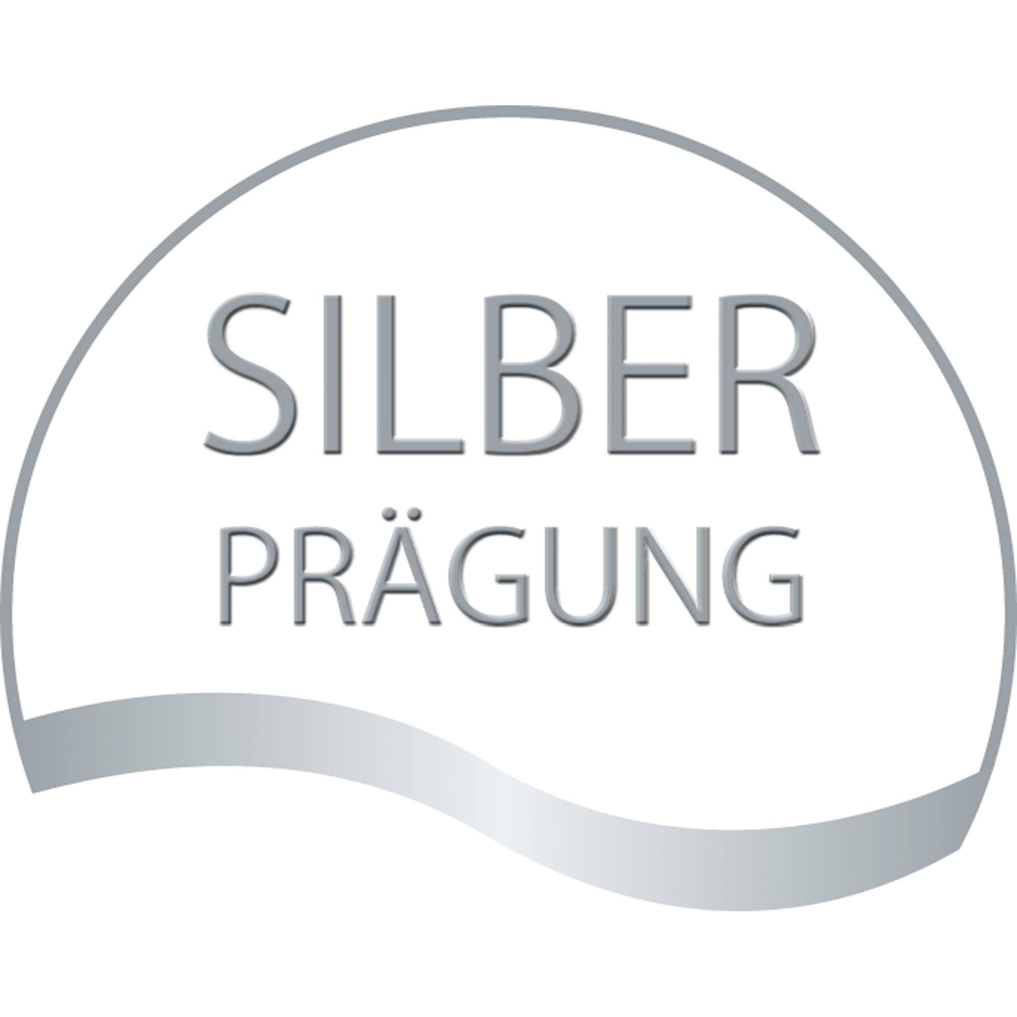 SIGEL Premium Geschenktasche GT111 175x230x100mm Silver Snowflakes